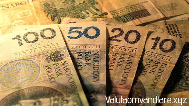 utländsk valuta